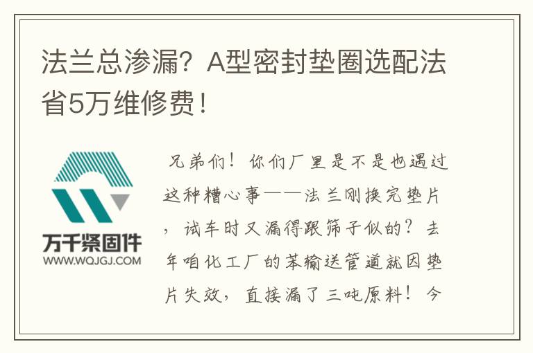 法蘭總滲漏？A型密封墊圈選配法省5萬維修費！