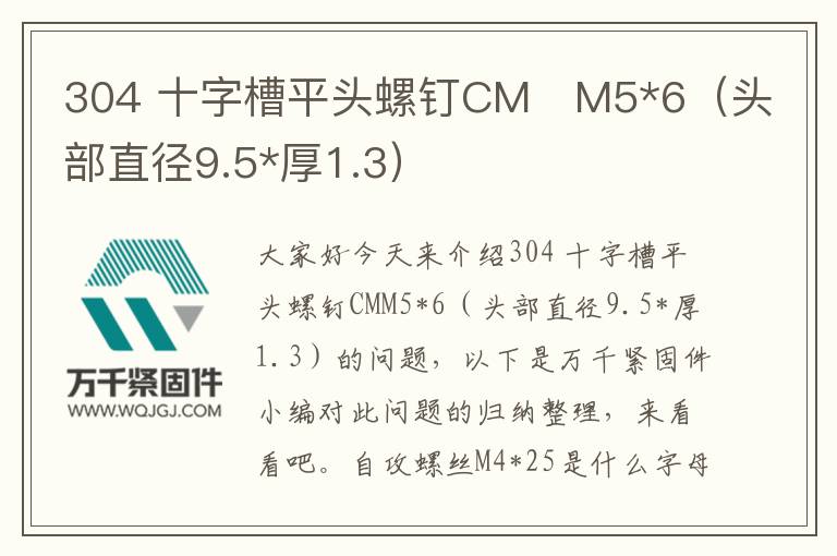 304 十字槽平頭螺釘CM M5*6(頭部直徑9.5*厚1.3)